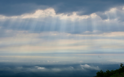 Grace for This Place: How to Walk Into Hard Rooms With Peace and Strength